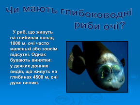 0603p5uz-2eff-289x217.jpg