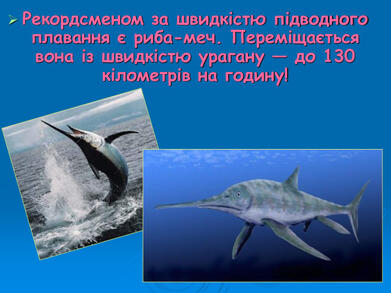 0603p5w4-a1cc-391x293.jpg
