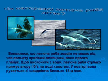 0603p5wn-1412-444x333.jpg