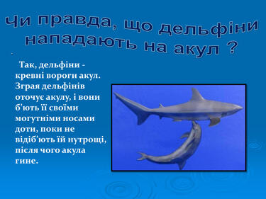 0603p5yt-e325-375x281.jpg