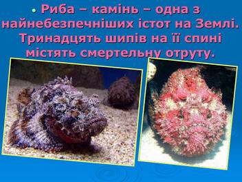 0603p5zt-2090-352x264.jpg