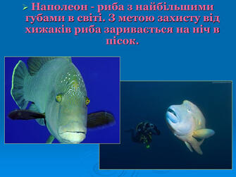 0603p606-80c6-335x251.jpg
