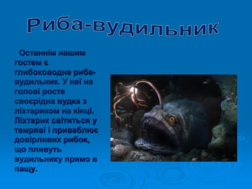 0603p61h-7fd8-366x275.jpg