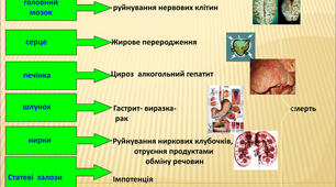 49. Отруйність метанолу та етанолу. 9 клас.