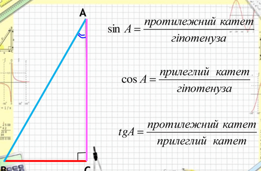 0603pbum-4823-886x580.png