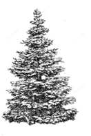 0603pcwy-8abb-132x197.png