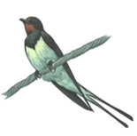 0603pd11-962d-155x153.png