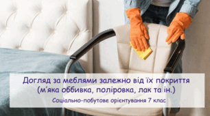 Презентація "Догляд за меблями залежно від їх покриття (м’яка оббивка, поліровка, лак та ін.)" 7клас СПО
