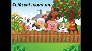 Домашні тварини