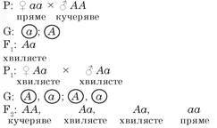 0603pfdn-1bcd-275x163.jpg