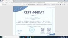  Сертифікат про підвищення кваліфікації (ШІ) 2024