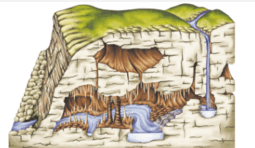 0603phtw-d6ec-255x148.png