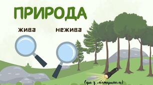 Жива та нежива природа. (дидактична гра з ліхтариком)