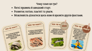Гра "Південна Америка: міф чи факт?"