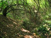 0603pl00-8d55-176x132.jpg