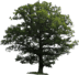 0603pl5o-fa2d-72x68.png