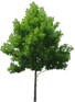 0603pl66-82a3-68x93.png