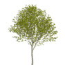 0603pl6h-2b25-94x94.png
