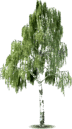 0603pl6l-93d9-72x129.png