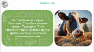 Презентація, конспект уроку та робочі аркуші на тему "Життєдіяльність тварин. Живлення. Способи живлення тварин. Травлення. Типи травлення тварин. Будова і функції травної системи. Запасання поживних речовин". 7 клас НУШ