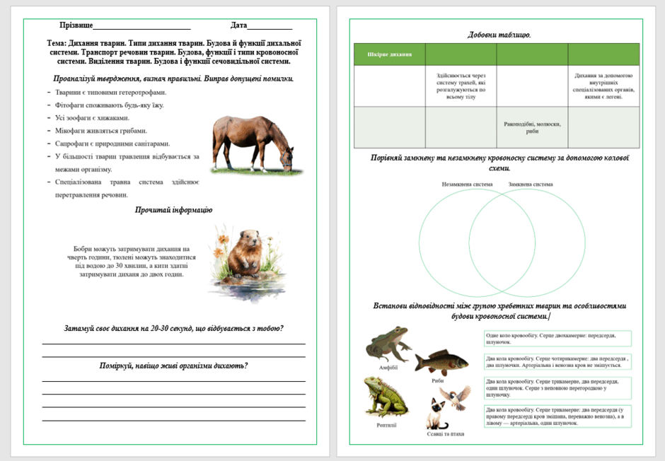 0603pmeb-142e-940x652.png