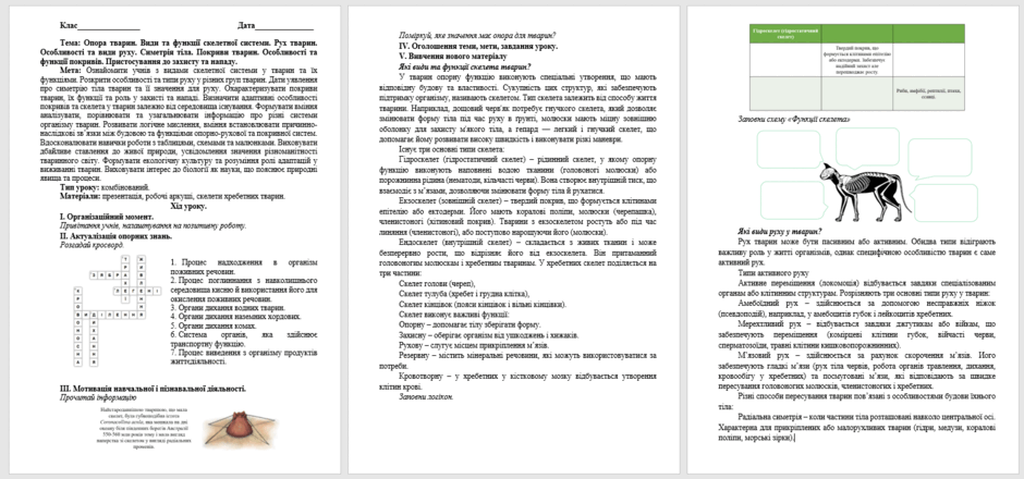 0603po6z-132b-940x440.png