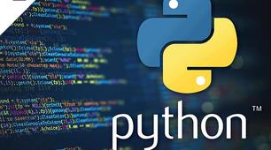 Розгалуження в  Python.